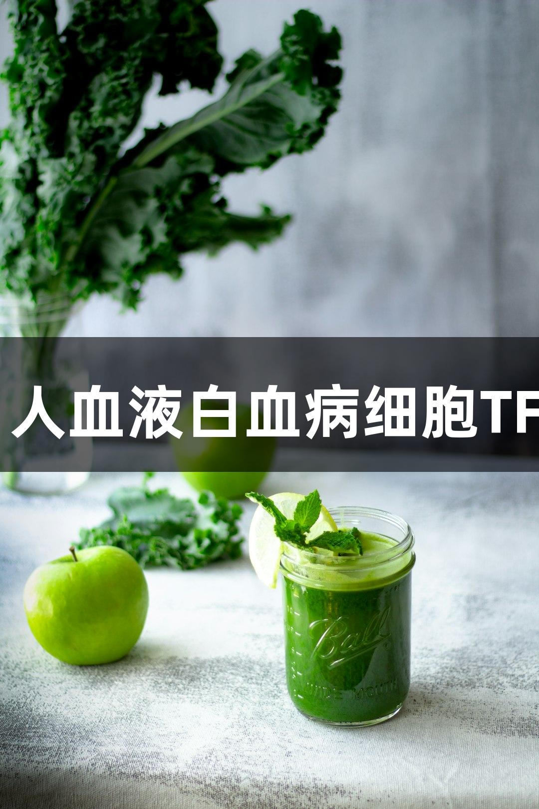 南宫28：人血液白血病细胞TF-1的研究