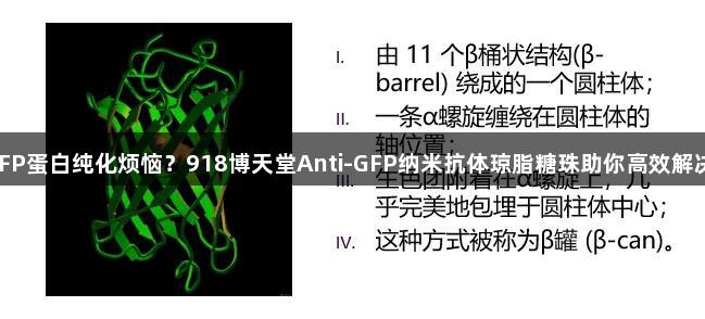 GFP蛋白纯化烦恼？918博天堂Anti-GFP纳米抗体琼脂糖珠助你高效解决！