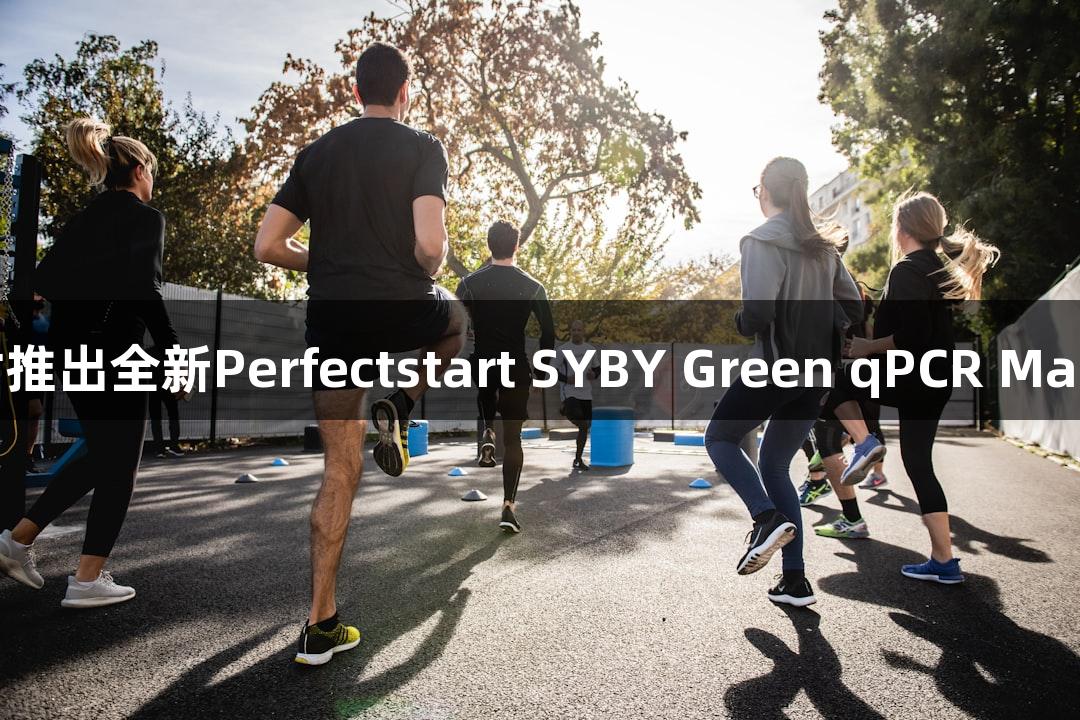 尊龙凯时推出全新Perfectstart SYBY Green qPCR Master Mix