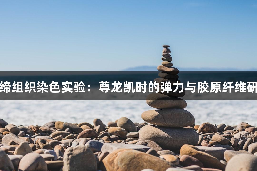 结缔组织染色实验：尊龙凯时的弹力与胶原纤维研究