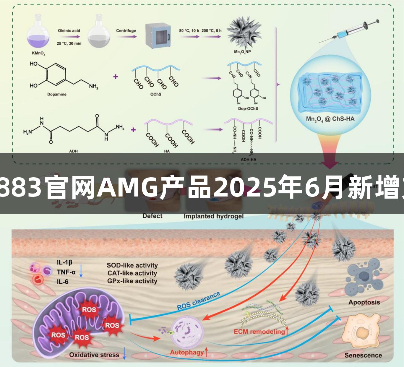新葡萄8883官网AMG产品2025年6月新增文献分享