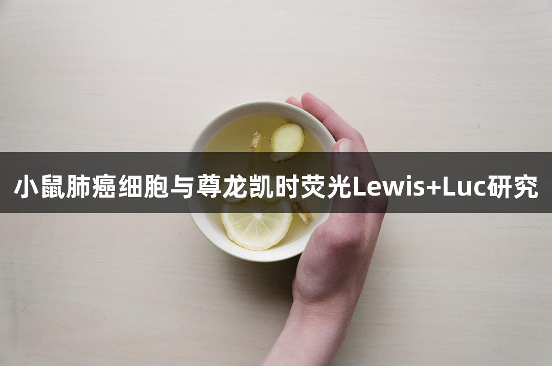 小鼠肺癌细胞与尊龙凯时荧光Lewis+Luc研究
