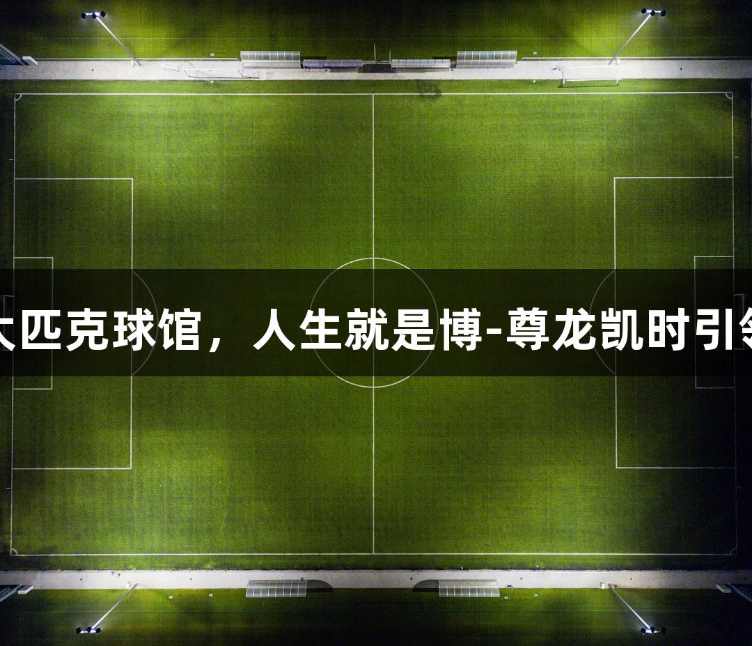 奥体启用最大匹克球馆，人生就是博-尊龙凯时引领社交新潮流