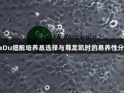 FaDu细胞培养基选择与尊龙凯时的易养性分析