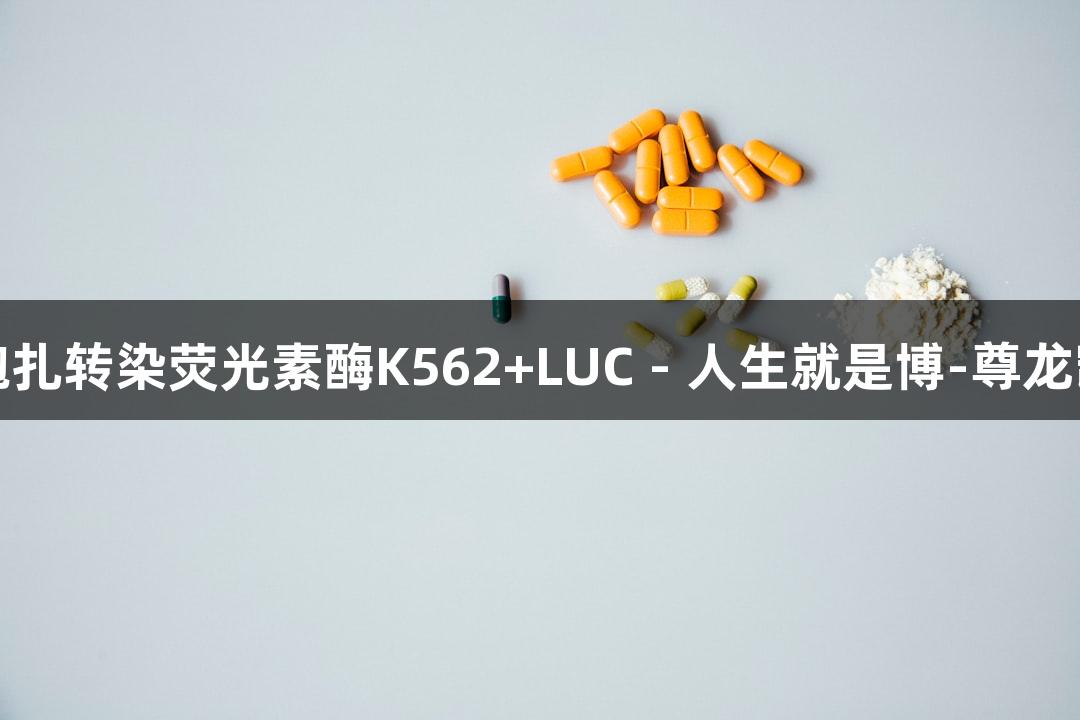 人慢性髓系白血病细胞扎转染荧光素酶K562+LUC - 人生就是博-尊龙凯时生物医疗创新探索