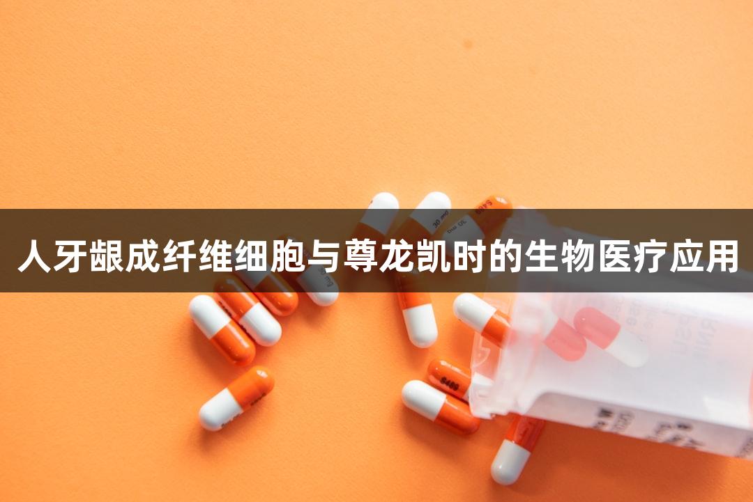 人牙龈成纤维细胞与尊龙凯时的生物医疗应用