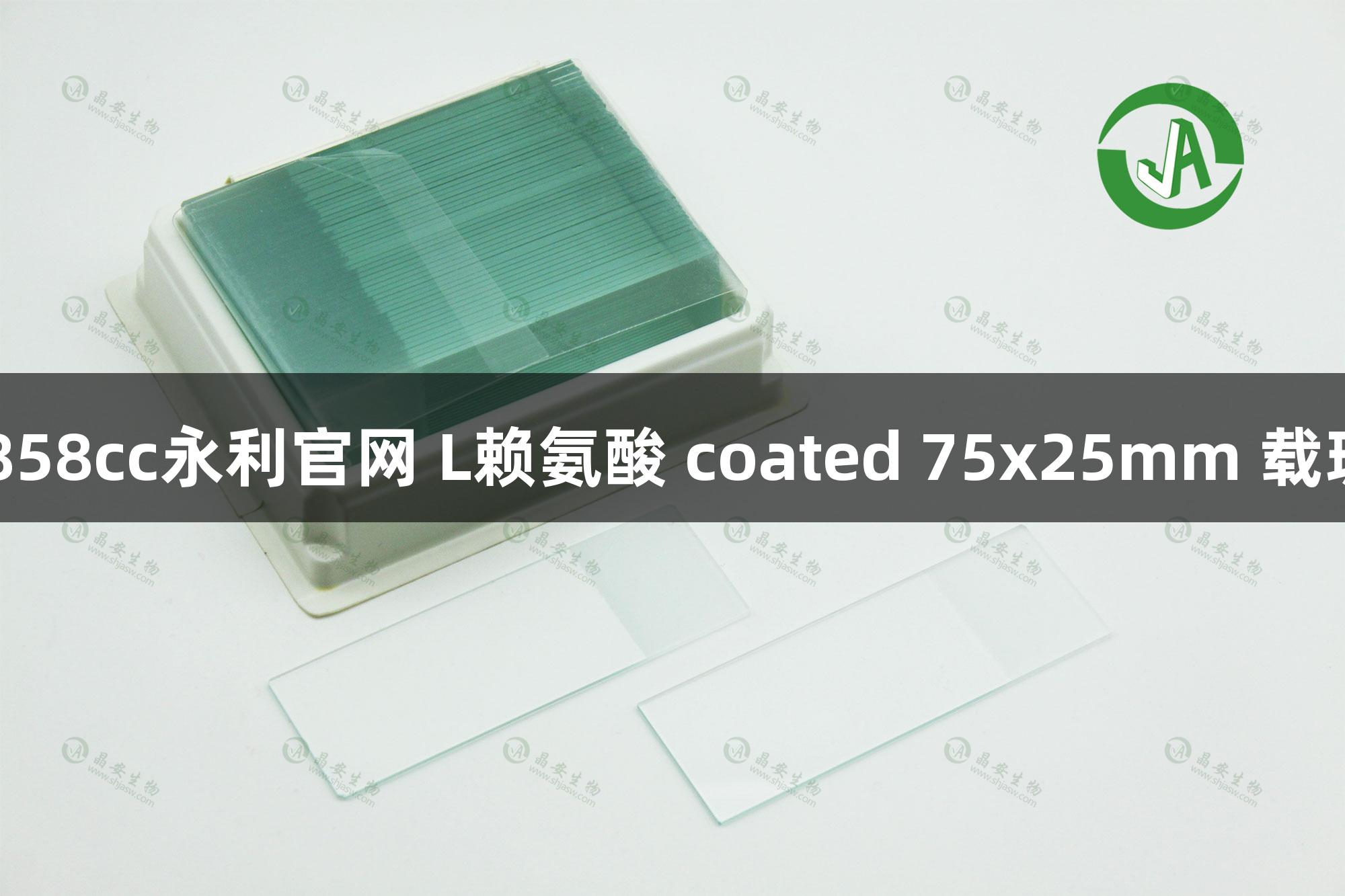 上海88858cc永利官网 L赖氨酸 coated 75x25mm 载玻片处理