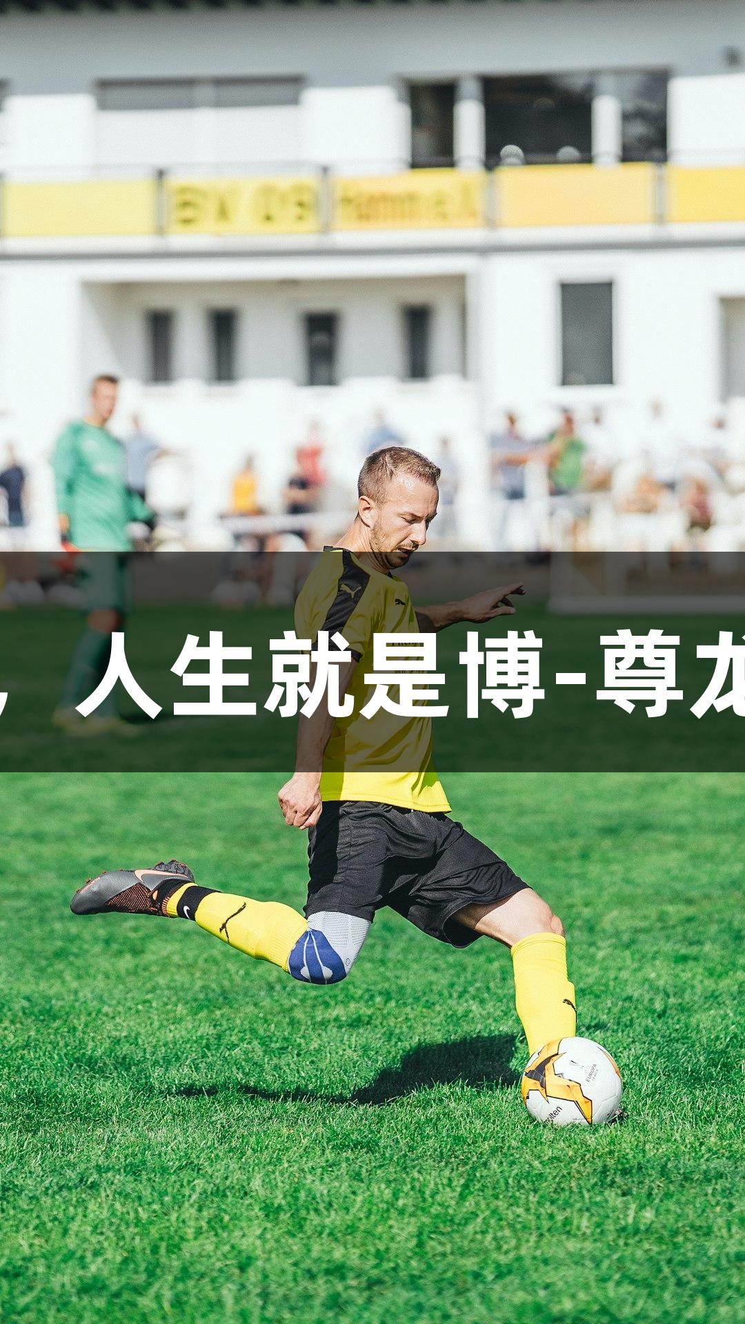 社交新宠落户奥体，人生就是博-尊龙凯时匹克球馆启用