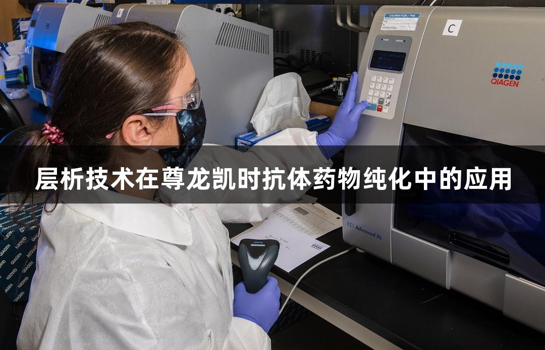 层析技术在尊龙凯时抗体药物纯化中的应用