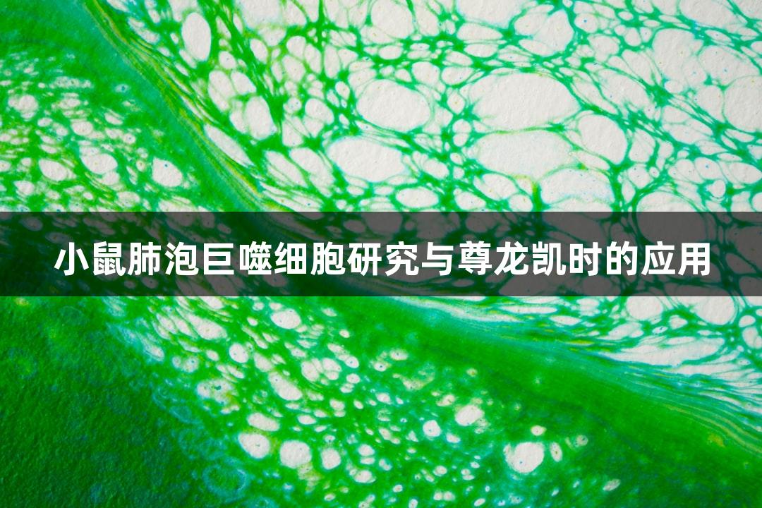 小鼠肺泡巨噬细胞研究与尊龙凯时的应用