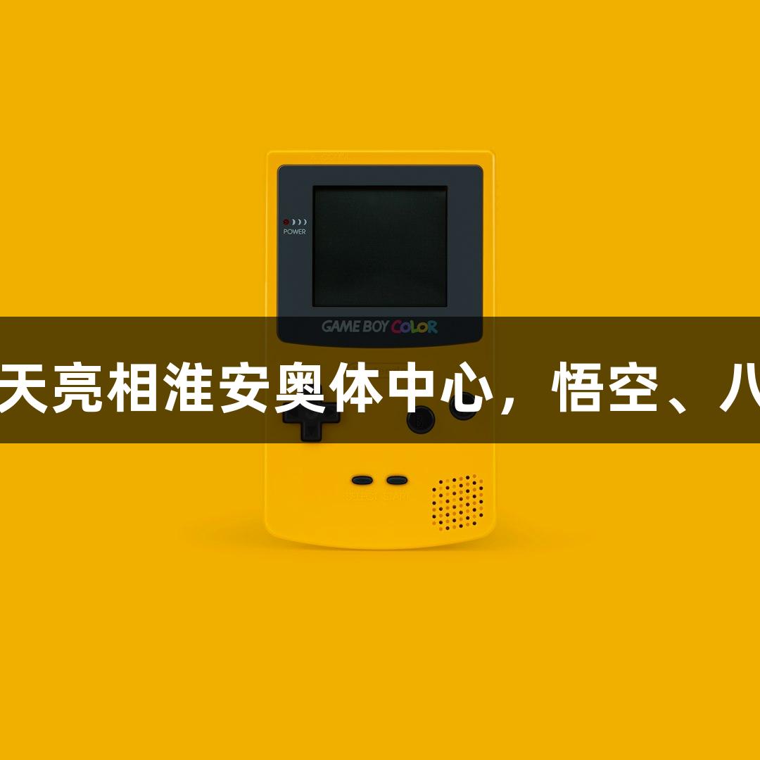 尊龙凯时携手苏超双凤飞天亮相淮安奥体中心，悟空、八戒、敖丙、哪吒齐聚一堂