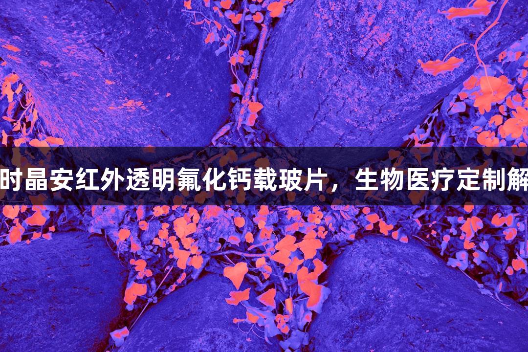 尊龙凯时晶安红外透明氟化钙载玻片，生物医疗定制解决方案