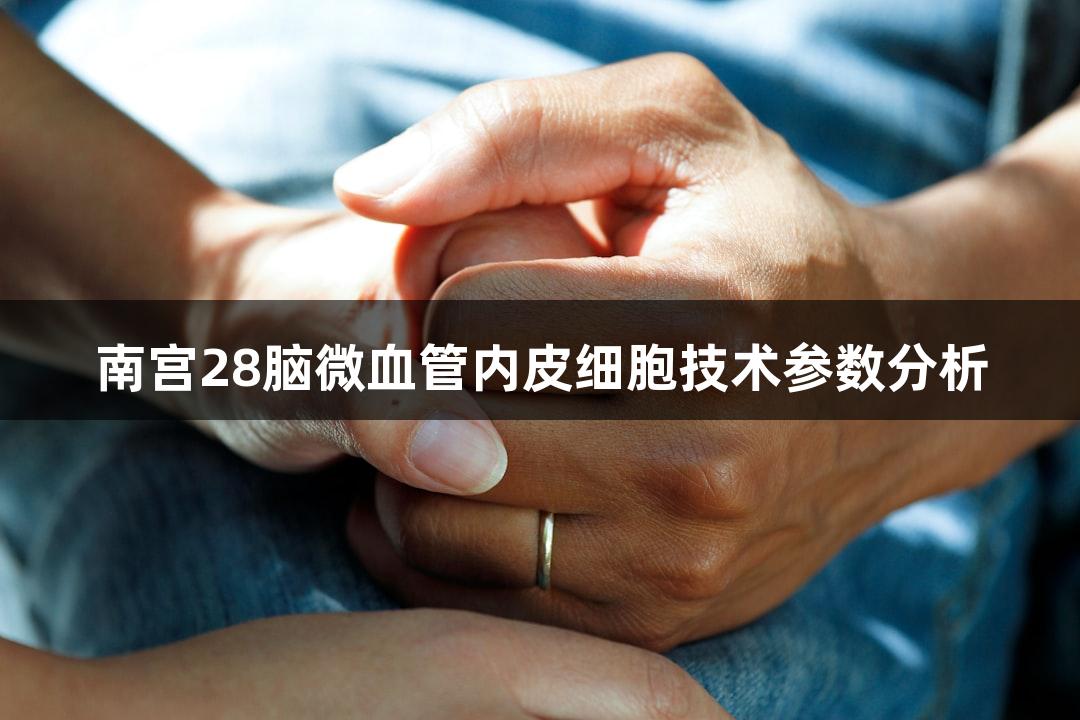 南宫28脑微血管内皮细胞技术参数分析