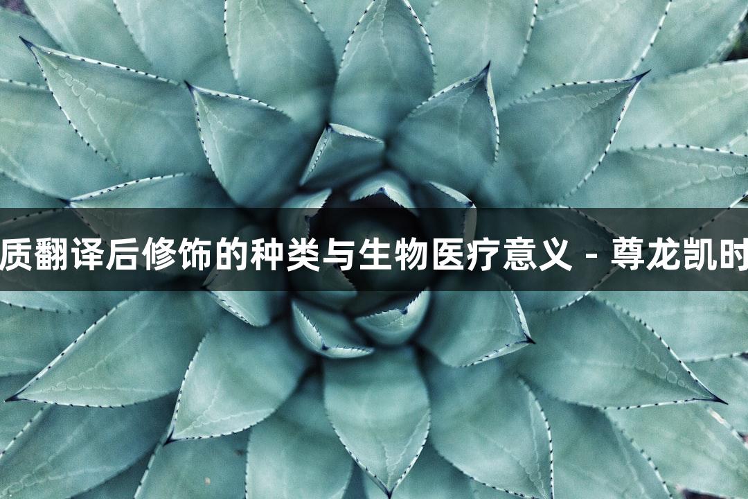 蛋白质翻译后修饰的种类与生物医疗意义 - 尊龙凯时解析