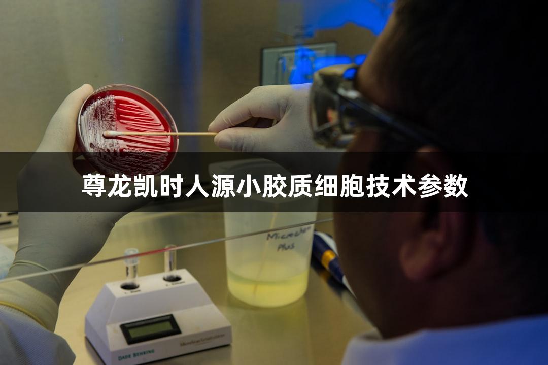尊龙凯时人源小胶质细胞技术参数