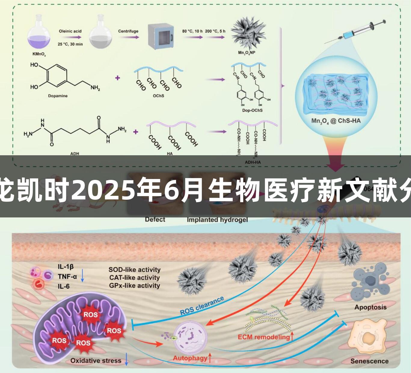 尊龙凯时2025年6月生物医疗新文献分享