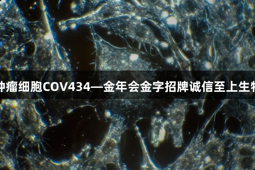 人卵巢颗粒肿瘤细胞COV434—金年会金字招牌诚信至上生物医疗新进展