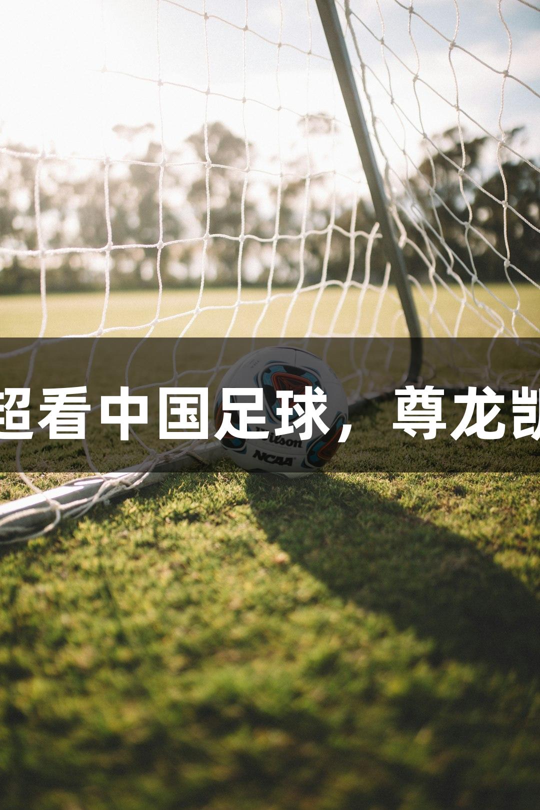东湖评论：从苏超看中国足球，尊龙凯时助力扎根发展