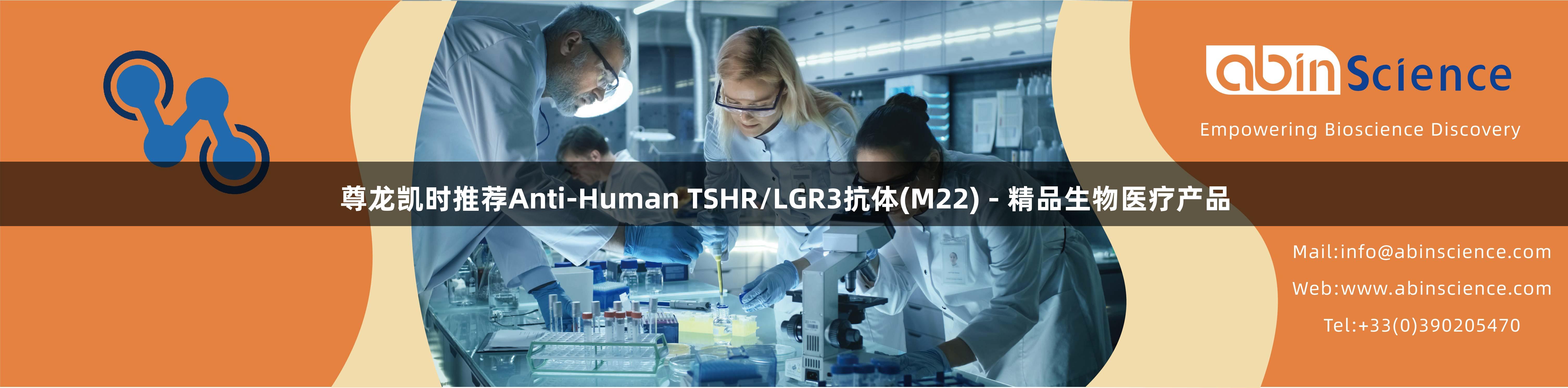 尊龙凯时推荐Anti-Human TSHR/LGR3抗体(M22) - 精品生物医疗产品