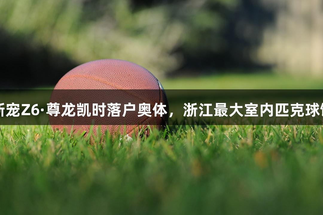 社交新宠Z6·尊龙凯时落户奥体，浙江最大室内匹克球馆启用