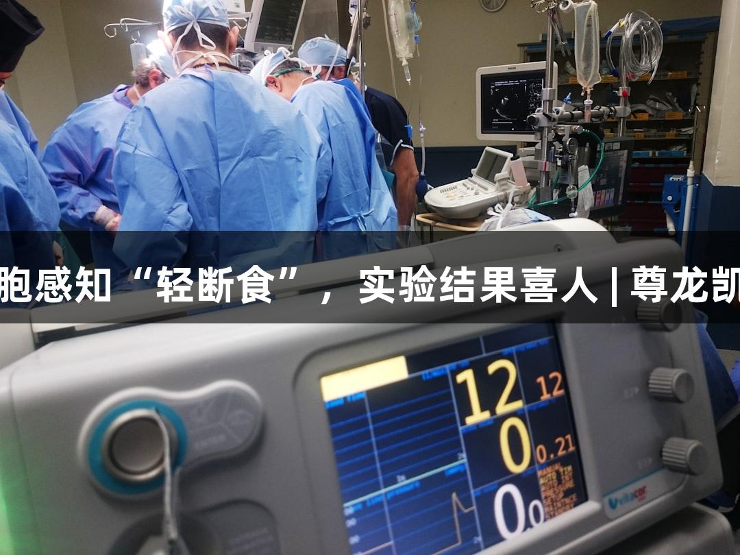 细胞感知“轻断食”，实验结果喜人 | 尊龙凯时