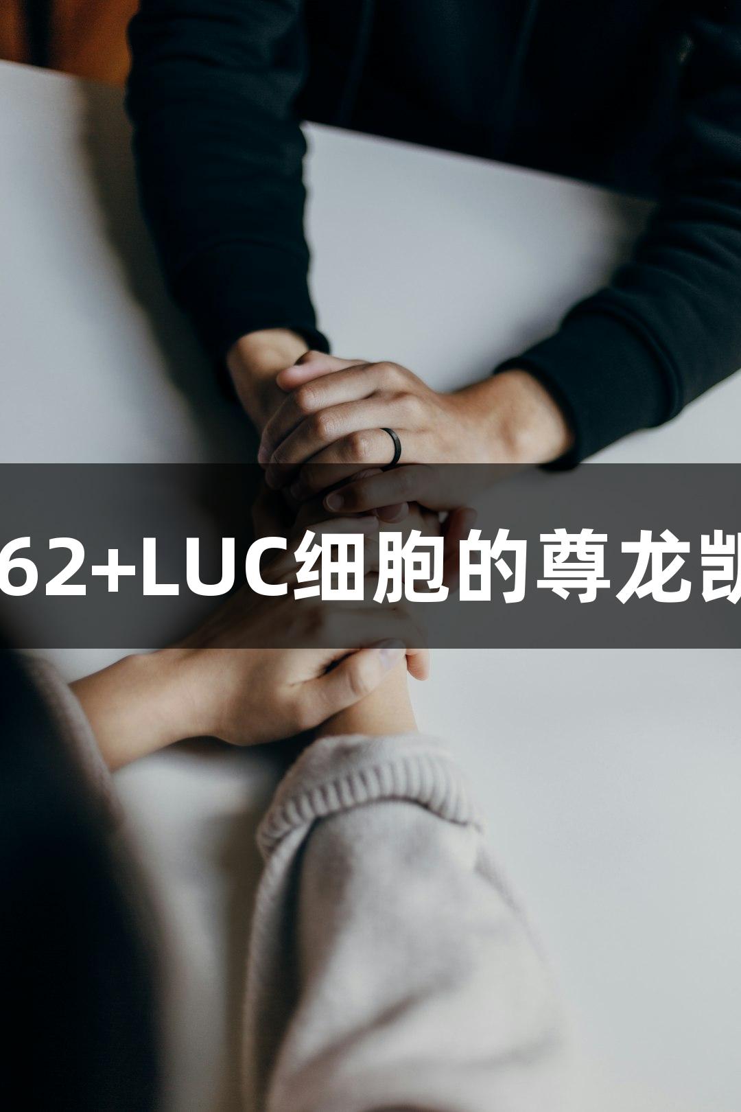 人慢性髓系白血病K562+LUC细胞的尊龙凯时转染荧光素酶研究
