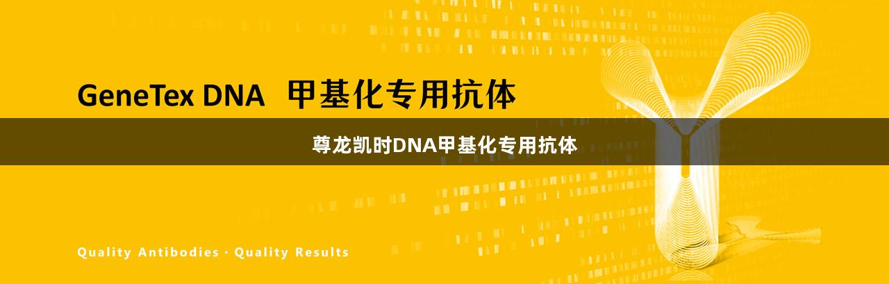 尊龙凯时DNA甲基化专用抗体
