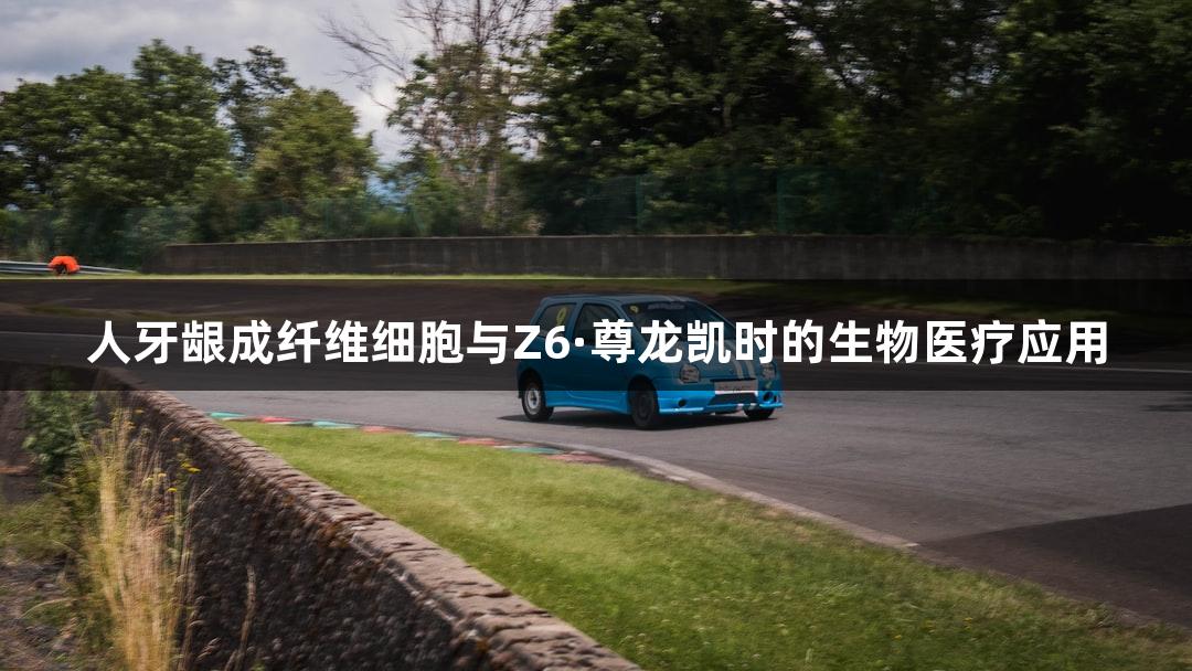 人牙龈成纤维细胞与Z6·尊龙凯时的生物医疗应用