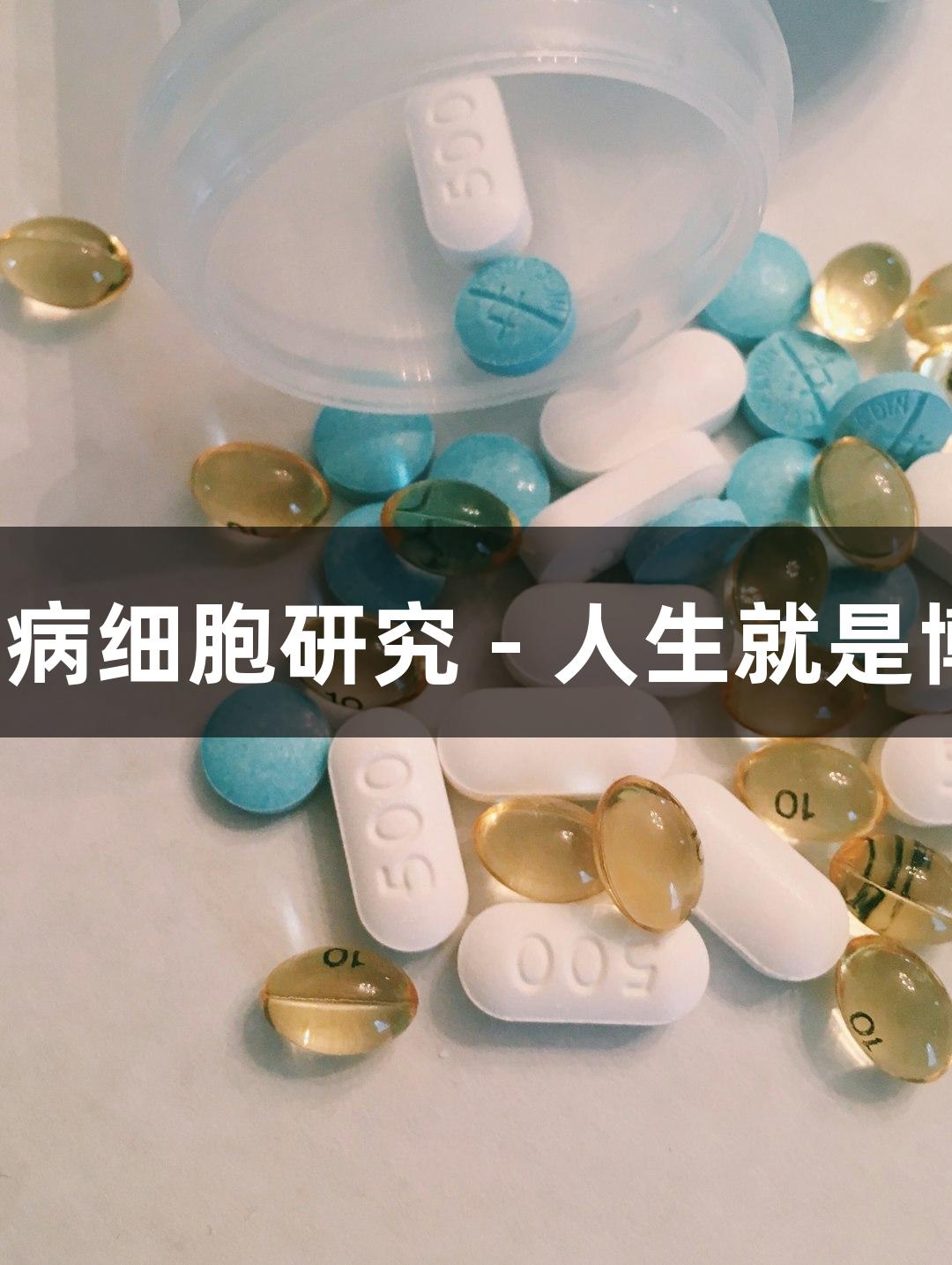 人血液白血病细胞研究 - 人生就是博-尊龙凯时