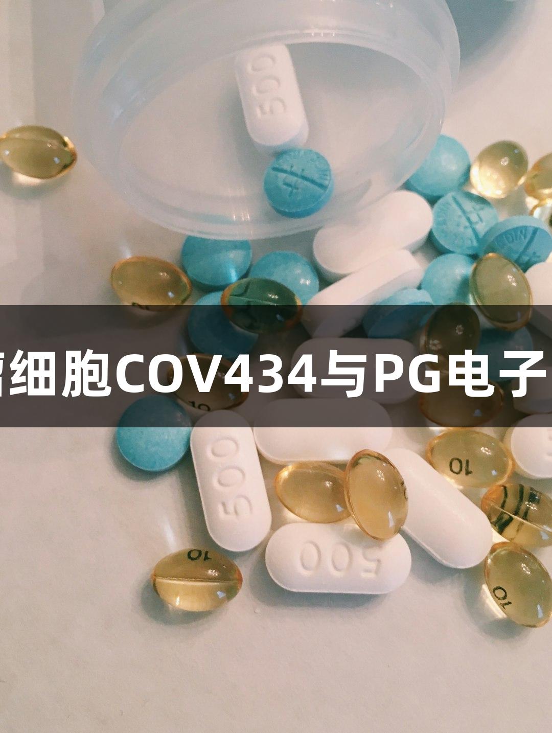 人卵巢颗粒肿瘤细胞COV434与PG电子的生物医疗研究