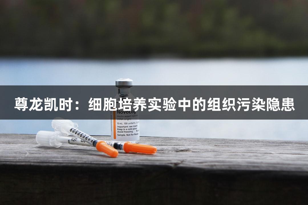 尊龙凯时：细胞培养实验中的组织污染隐患