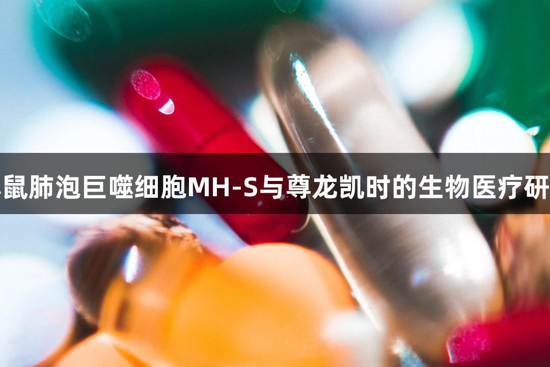 小鼠肺泡巨噬细胞MH-S与尊龙凯时的生物医疗研究