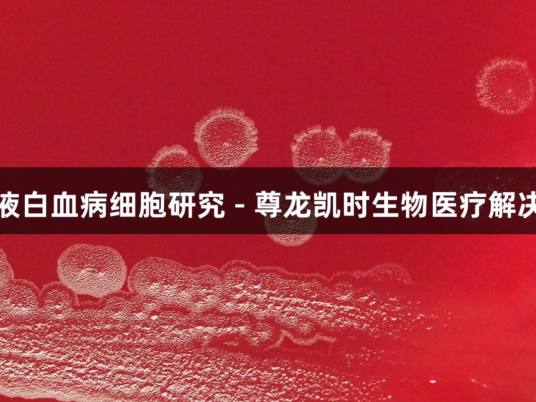 人血液白血病细胞研究 - 尊龙凯时生物医疗解决方案