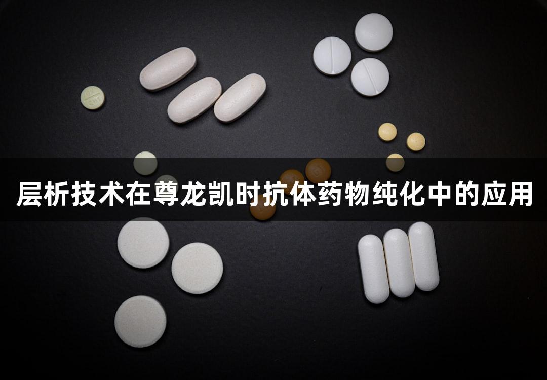 层析技术在尊龙凯时抗体药物纯化中的应用