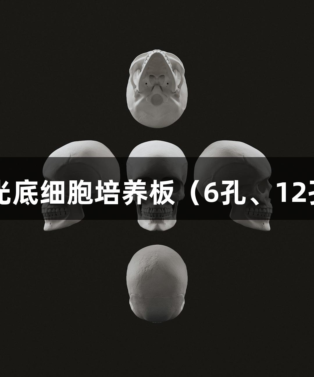尊龙凯时黑色避光底细胞培养板（6孔、12孔、24孔、96孔）