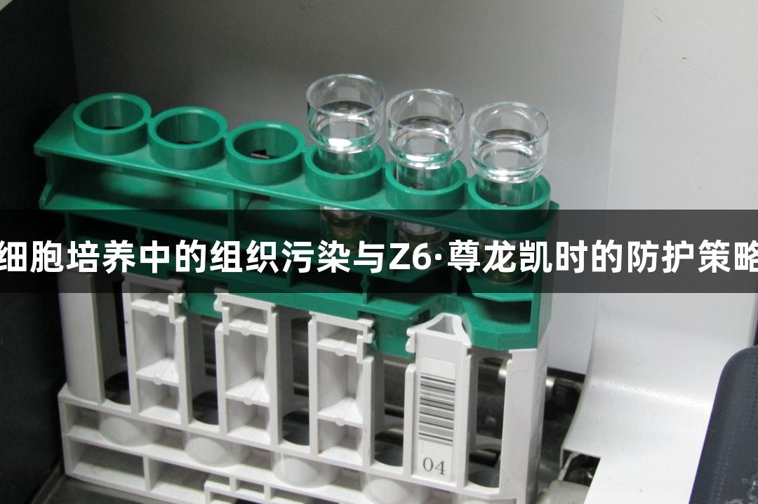 细胞培养中的组织污染与Z6·尊龙凯时的防护策略
