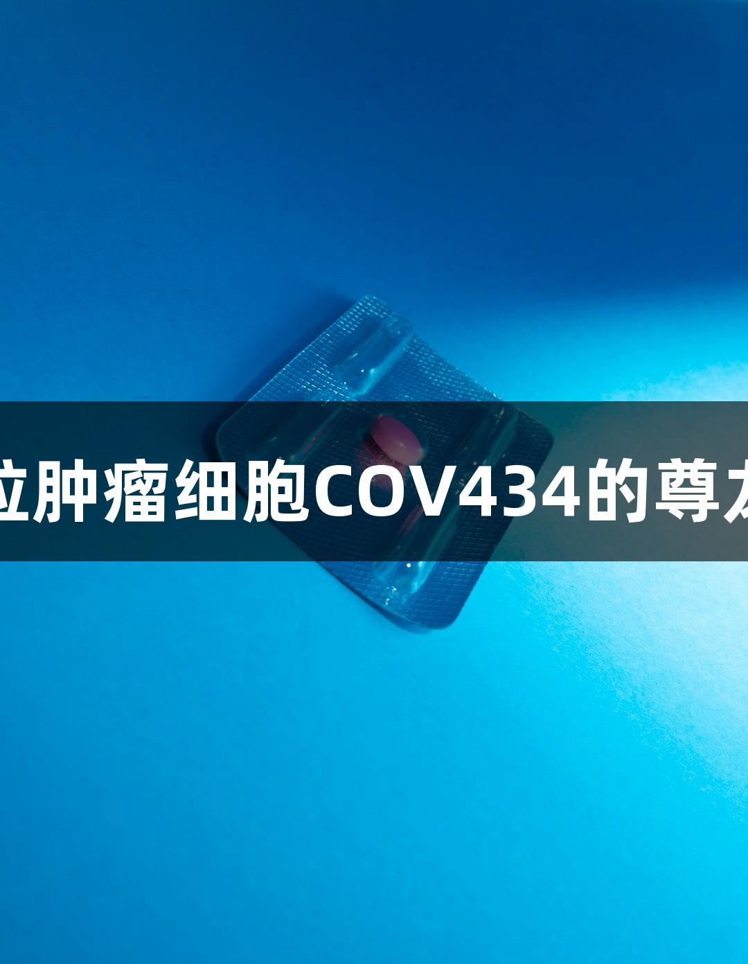 人卵巢颗粒肿瘤细胞COV434的尊龙凯时研究