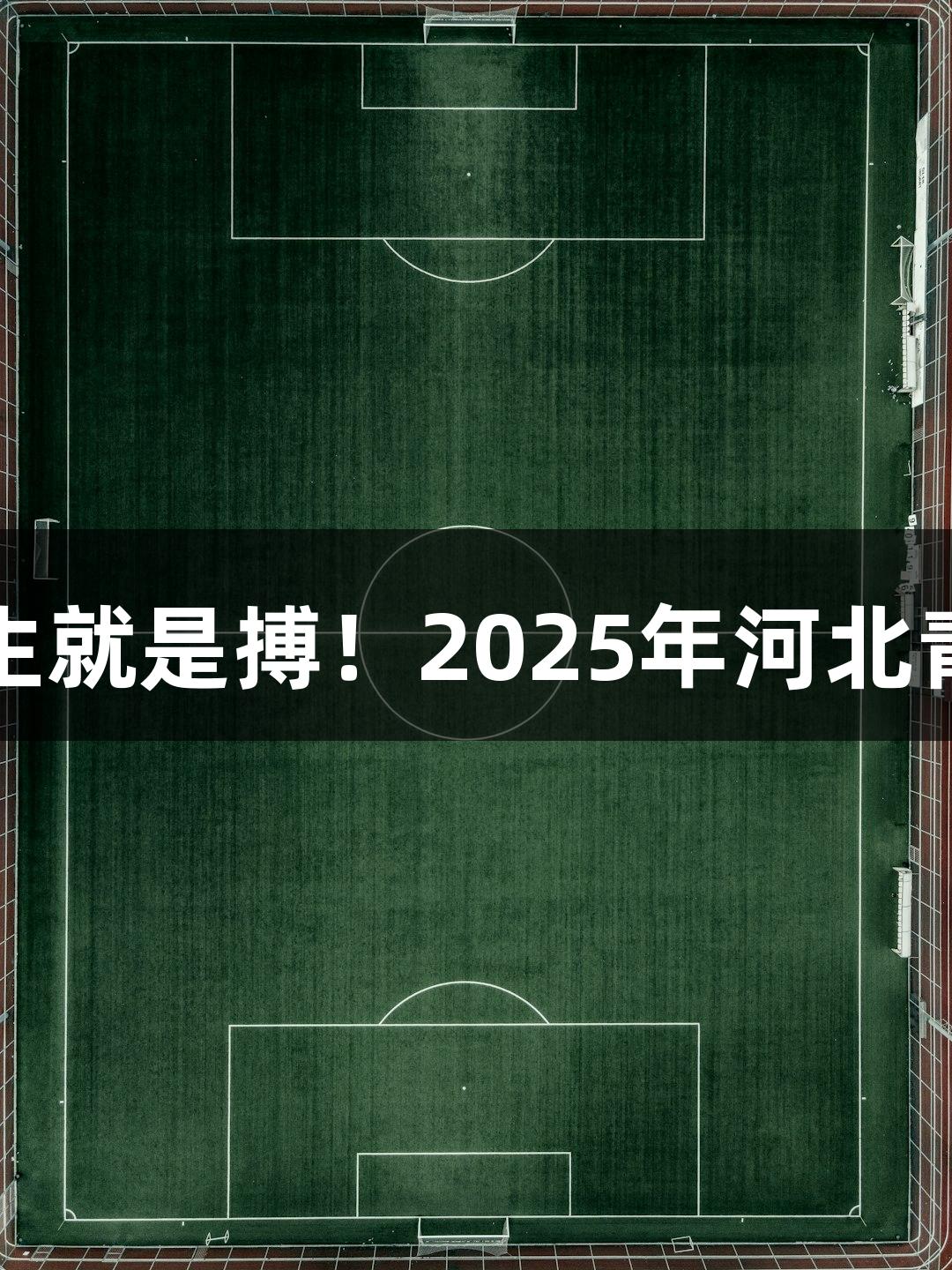 逐光破靶，尊龙凯时-人生就是搏！2025年河北青少年光电射击比赛来袭！