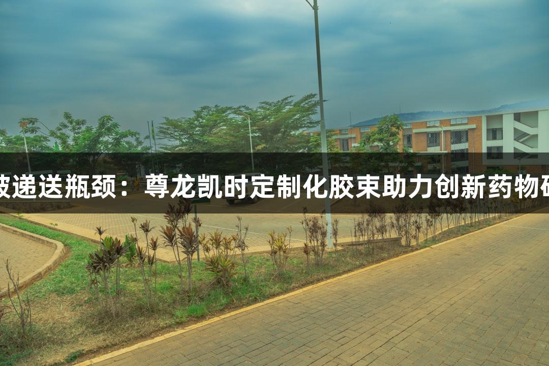 突破递送瓶颈：尊龙凯时定制化胶束助力创新药物研发