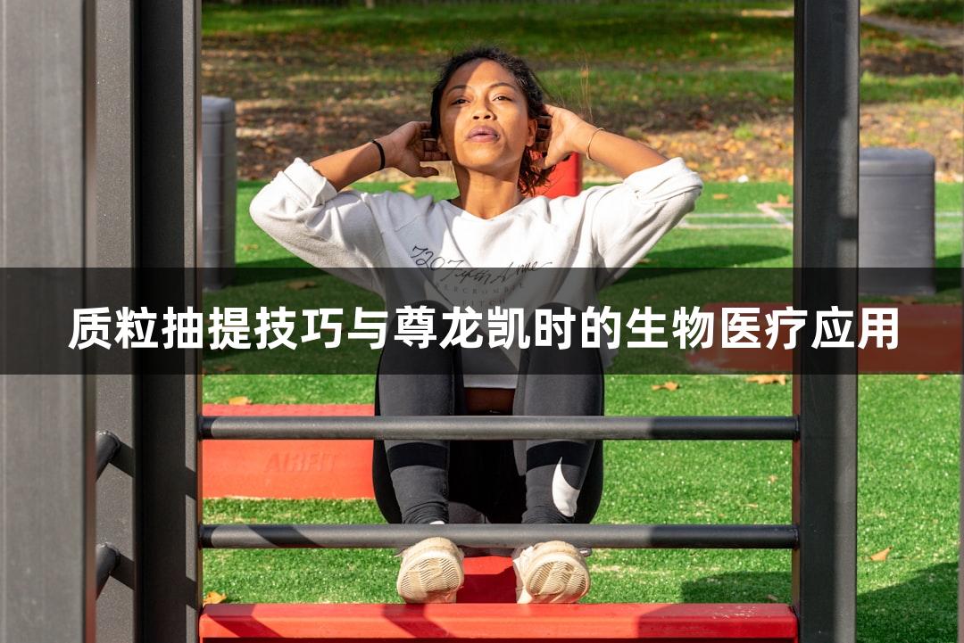 质粒抽提技巧与尊龙凯时的生物医疗应用