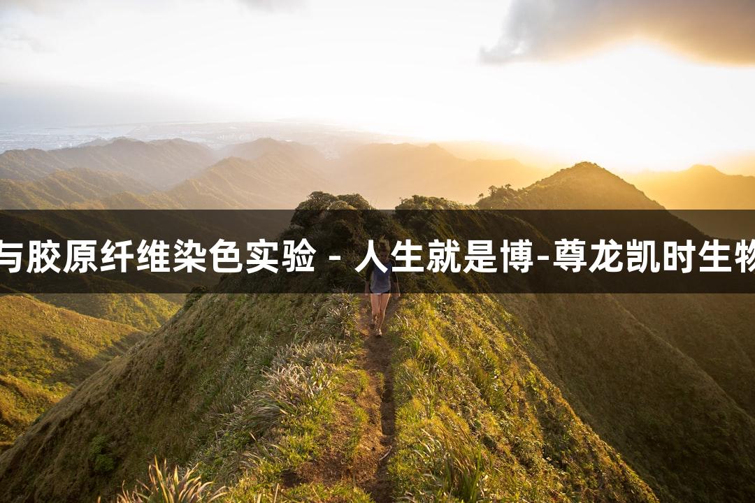 弹力纤维与胶原纤维染色实验 - 人生就是博-尊龙凯时生物医疗探索
