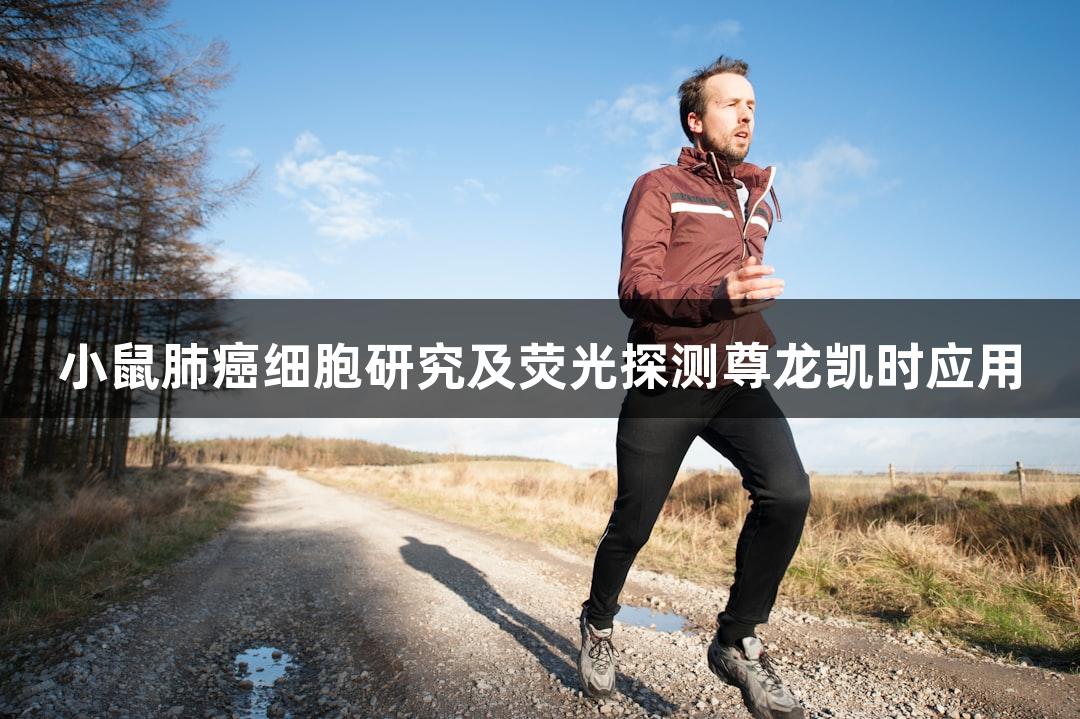小鼠肺癌细胞研究及荧光探测尊龙凯时应用
