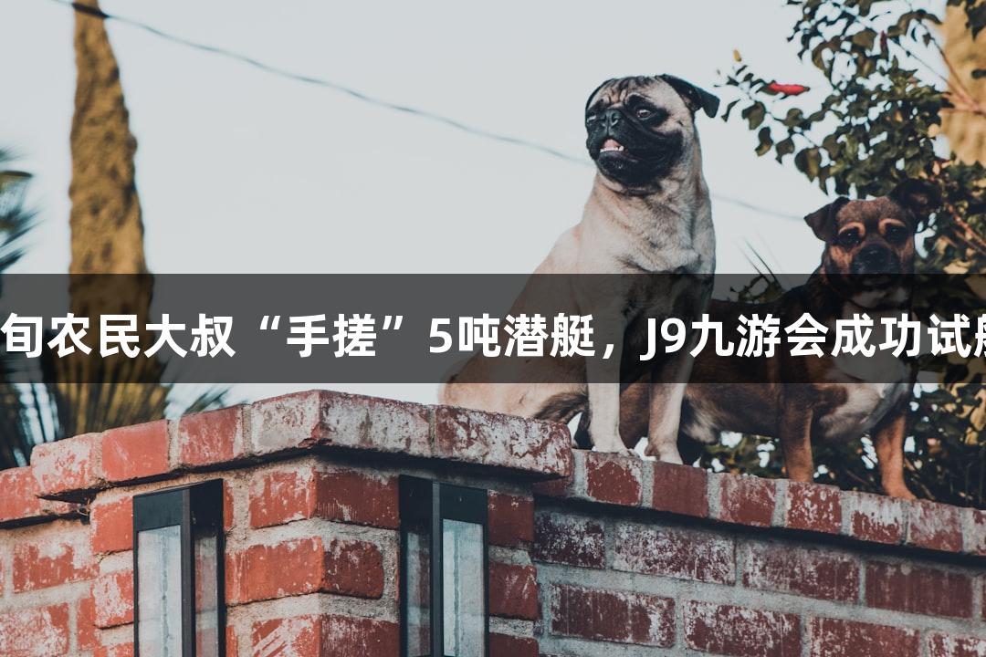 六旬农民大叔“手搓”5吨潜艇，J9九游会成功试航！