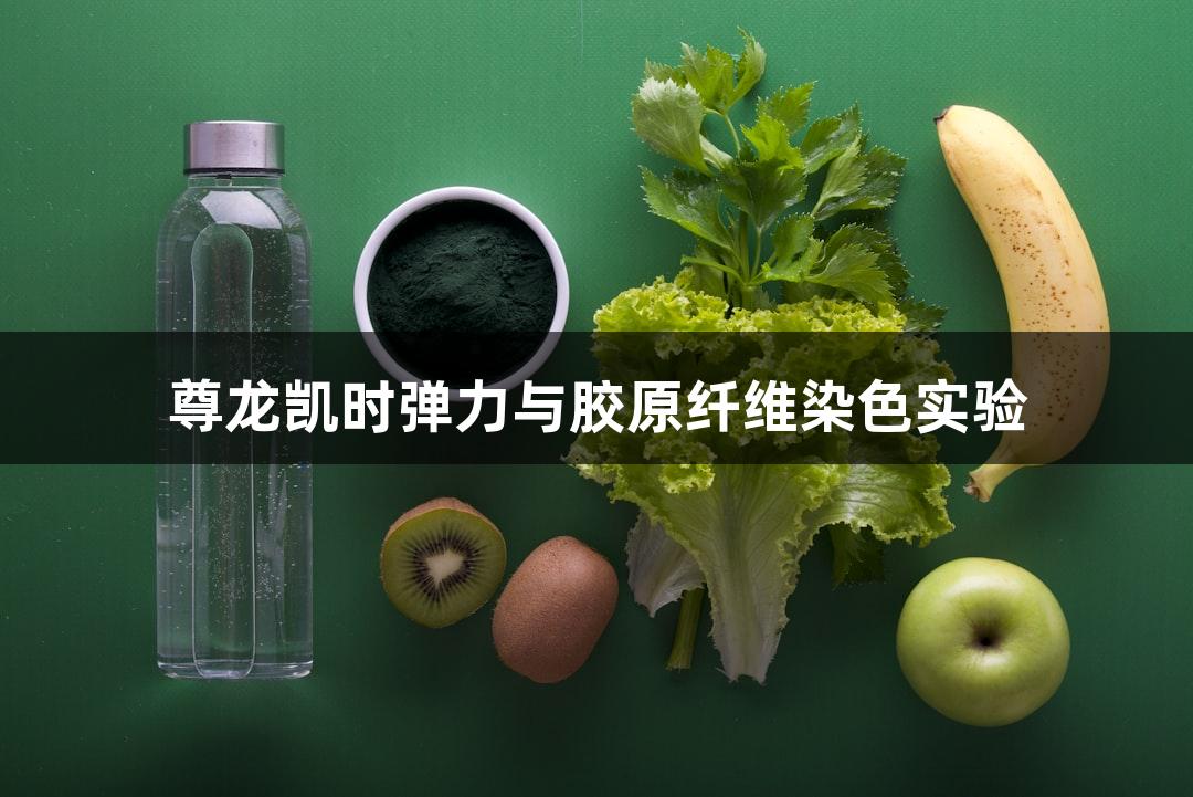尊龙凯时弹力与胶原纤维染色实验