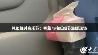 尊龙凯时音乐节：香薰与抽纸细节温暖现场