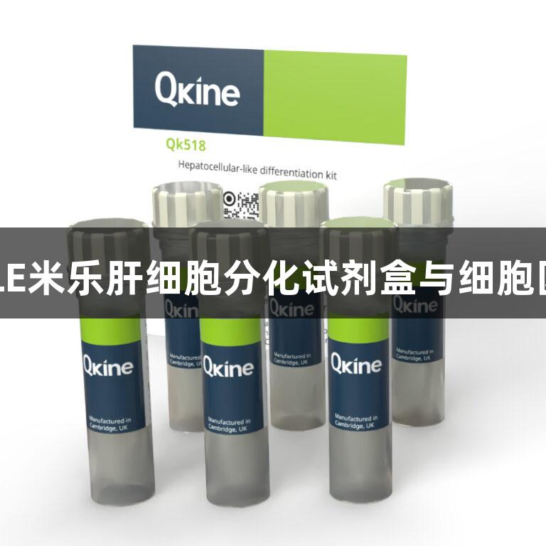 MILE米乐肝细胞分化试剂盒与细胞因子