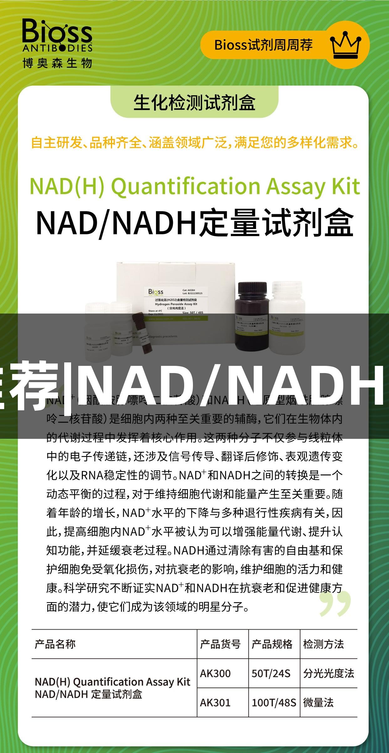 尊龙凯时推荐|NAD/NADH定量试剂盒
