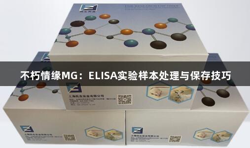 不朽情缘MG：ELISA实验样本处理与保存技巧