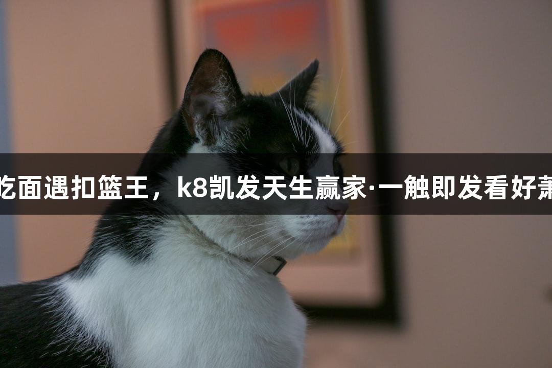 楼下吃面遇扣篮王，k8凯发天生赢家·一触即发看好萧山队