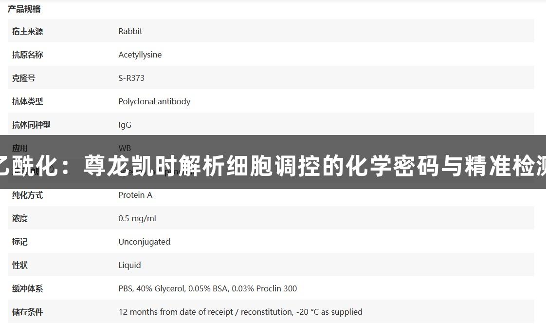 探秘乙酰化：尊龙凯时解析细胞调控的化学密码与精准检测技术